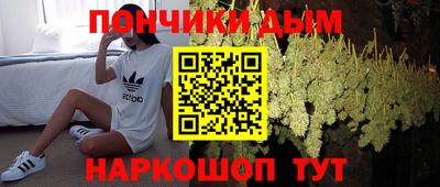 дурь Новодвинск