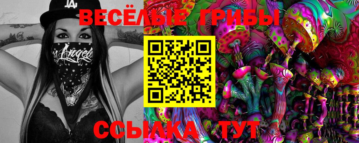 Славгород  Псилоцибиновые грибы Cubensis  Вход с VPN  Галлюциногенные грибы мухоморы 