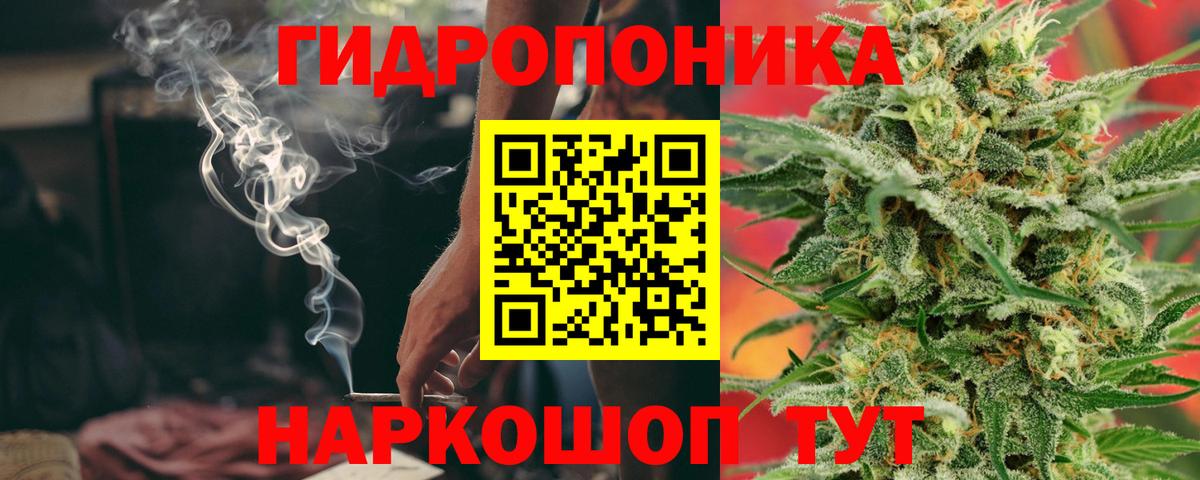 Шишки марихуана OG Kush  Вход с VPN  Бошки Шишки SATIVA & INDICA  Славгород  Бошки марихуана сатива  Бошки Шишки Amnesia 